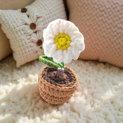 'You Make My Heart Smile 🥰' Handmade Forever Blooming Crochet White Daisy Pot & Custom Initial           (Free card included)