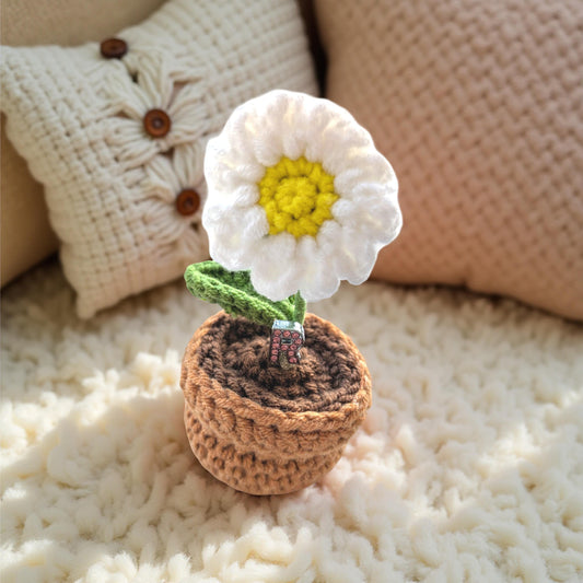 'You Make My Heart Smile 🥰' Handmade Forever Blooming Crochet White Daisy Pot & Custom Initial           (Free card included)